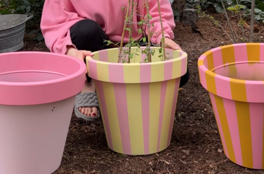 Blumentopf Upcycling: Für einen schöneren Garten