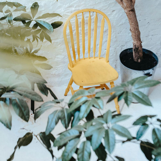 ein gelber Stuhl zwischen Pflanzen