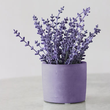 Moodbild-RAL 4005 Blue Lilac