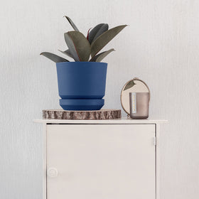 blaue Vase mit einer Planze auf einer Kommode