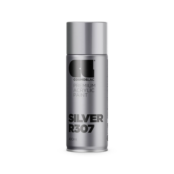 R307 Silver glänzend